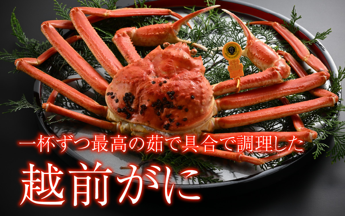 【先行予約】[捌き済選択可][到着日指定可]蟹好きにおすすめ！老舗カニ専門店の「越前ずわいがに」特大(1.1kg～1.3Kg)【11月中旬より順次発送】 [O-085019]