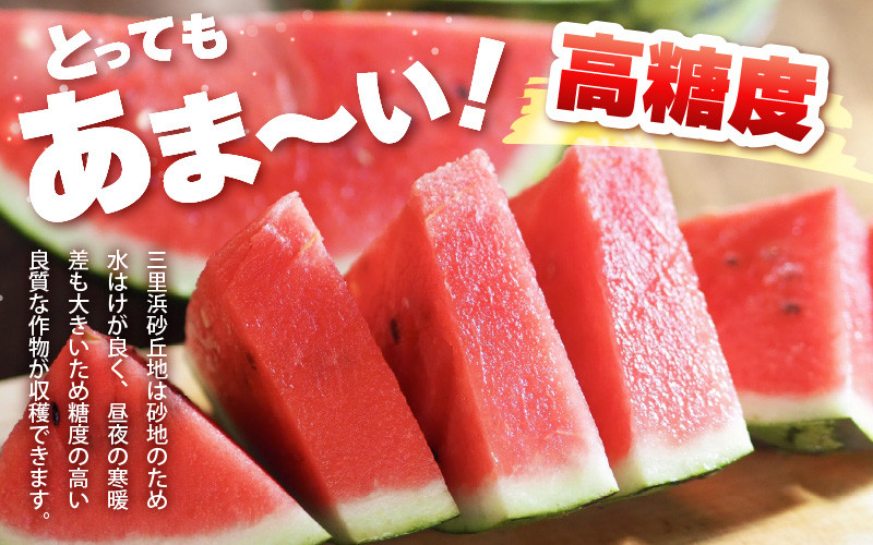 【先行予約】坂井市三里浜砂丘地産 大玉スイカ 2Lサイズ 1玉（7kg以上） 【2026年6月上旬以降順次発送予定】 【スイカ 西瓜 すいか デザート 果物 くだもの 夏 ジューシー 高糖度 お取り寄せ グルメ 産地直送】 [A-19004]
