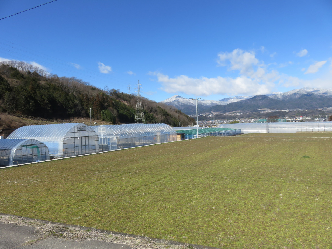 7-B11 喬木村産 すっぽん鍋の素