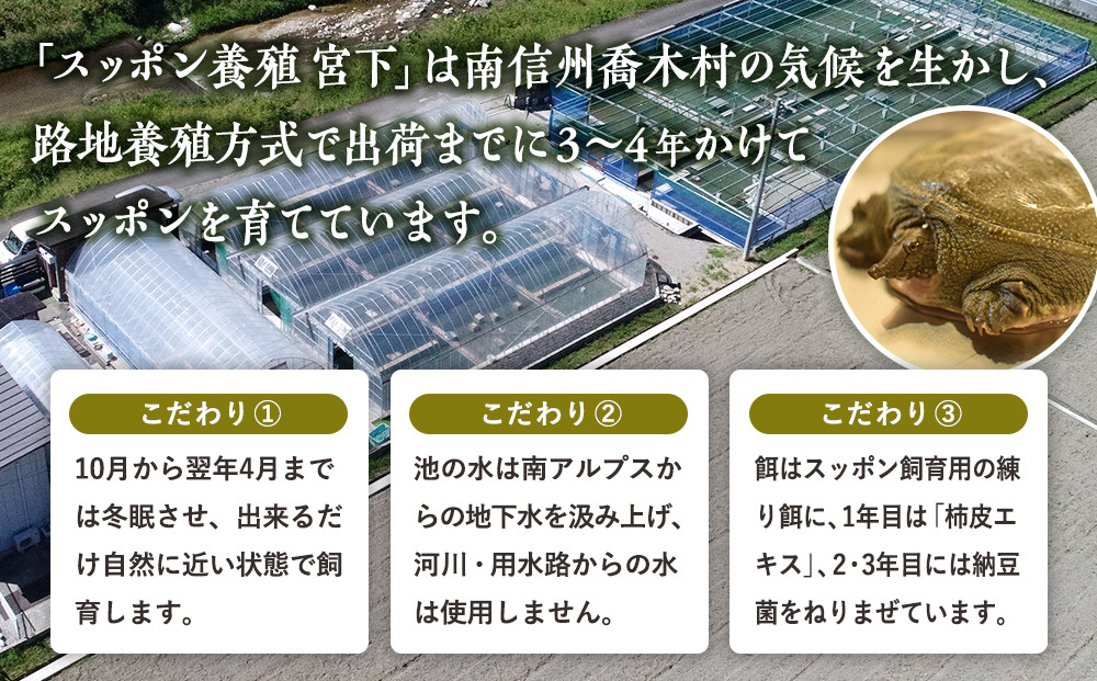 7-B11 喬木村産 すっぽん鍋の素