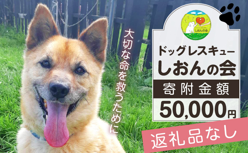 【野犬の保護活動】浜中町「ドッグレスキューしおんの会」を支援 50000円分 返礼品なし_H0039-008