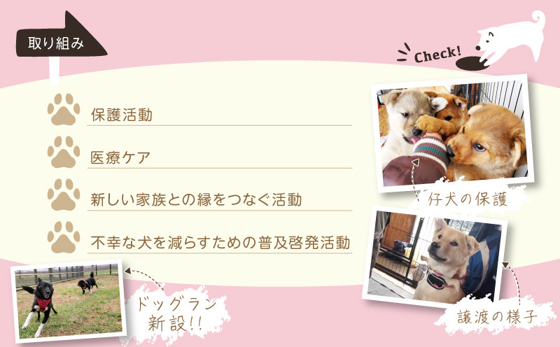 【野犬の保護活動】浜中町「ドッグレスキューしおんの会」を支援 10000円分 返礼品なし_H0039-006