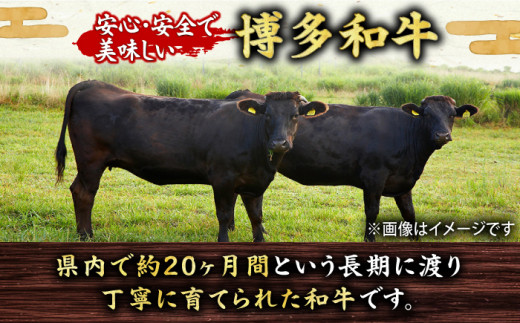 【6回定期便】お肉屋さんの手ごね 特上 ハンバーグ 10個 肉 牛肉 博多和牛 黒毛和牛 国産 お惣菜 福岡 冷凍 広川町 / 株式会社MEAT PLUS [AFBO057]