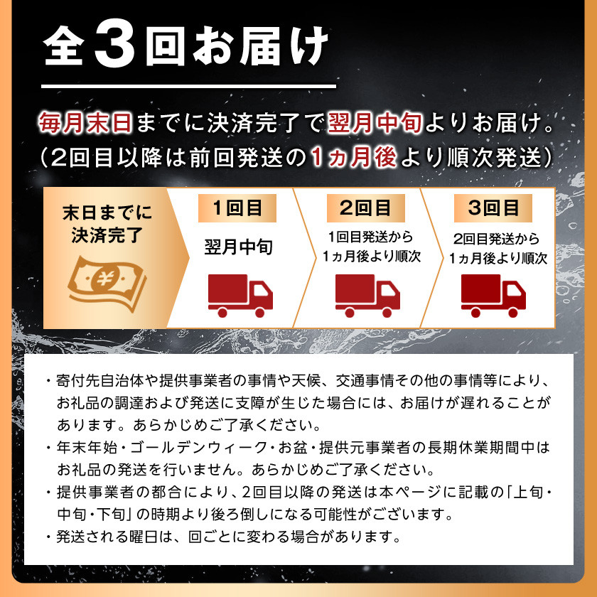 ＜毎月定期便＞＜3か月お届け＞ウィルキンソン タンサン 1000ml＜12本入＞2箱 アサヒ全3回【4050128】