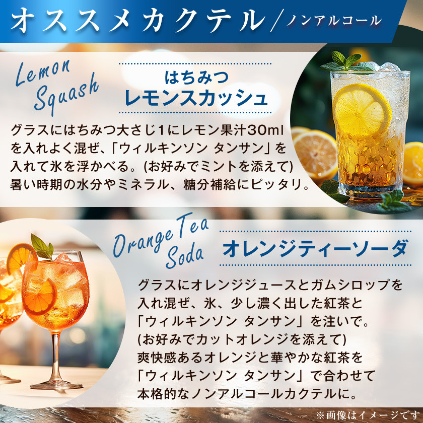 <毎月定期便><12か月お届け>ウィルキンソン タンサン 1000ml<12本入>アサヒ飲料全12回【4050124】