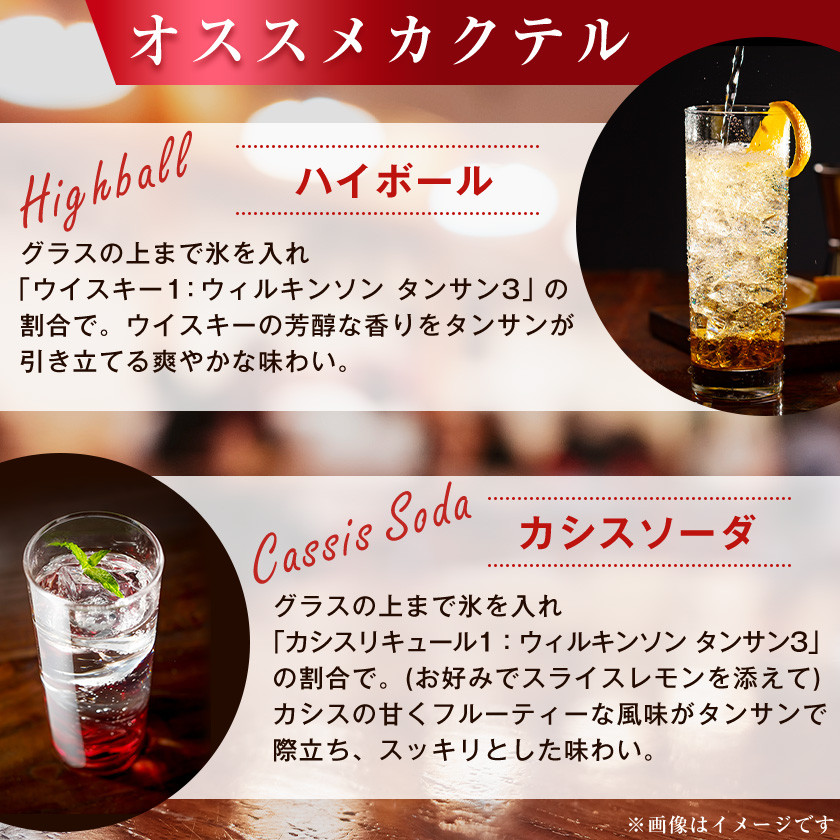 炭酸水 ウィルキンソン タンサン 1000ml 12本 2箱 アサヒ飲料 強炭酸水ペットボトル_ ふるさと納税 ふるさと 炭酸 炭酸水 炭酸飲料 飲料 1L 山梨県 山梨市 山梨 人気 送料無料【1499996】