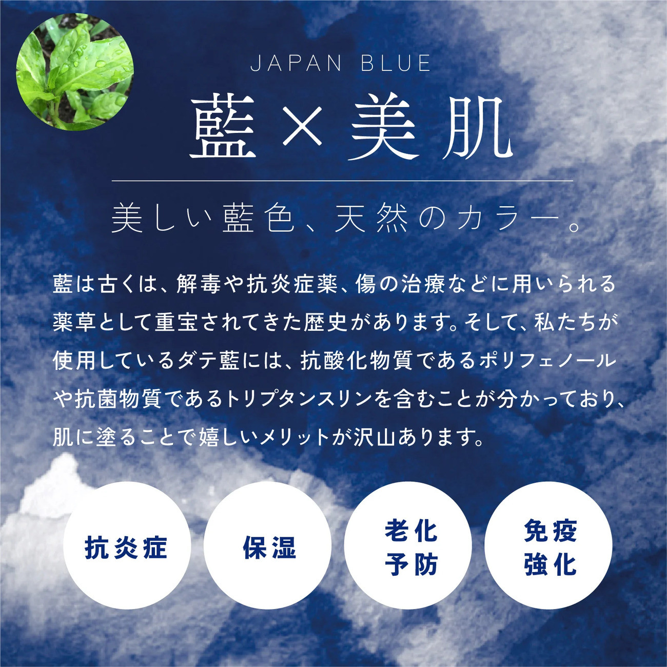 石鹸 70g×1 ボディーソープ オーガニック コスメ 天然素材 スキンケア オリーブ パーム 抗酸化 ポリフェノール 