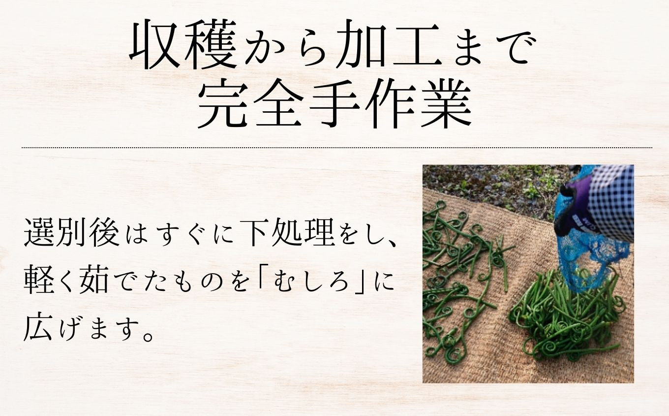 100%天然物 特上 干しぜんまい 120g 令和7年産 新物【乾燥ぜんまい 干しぜんまい 天日干し 手もみ 乾物 新潟県 糸魚川市 山菜 ゼンマイ 能生 完全手作業 完全天日乾燥 笠原建設 煮物 炒め物 ナムル】