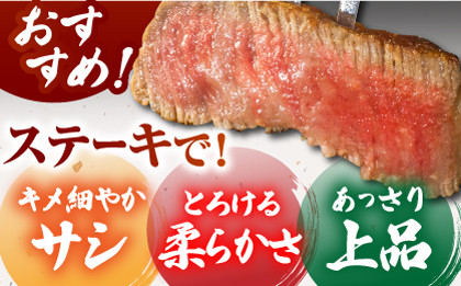 ヒレステーキ 牛肉 ステーキ【全12回定期便】佐賀牛ヒレステーキ 計800g（200g×4パック）【がばいフーズ】 [HCS070] 定期便 定期 牛肉 ヒレ ひれ ヒレ肉 ヒレステーキ 真空パック 真空 800g 佐賀牛 ステーキ フィレ