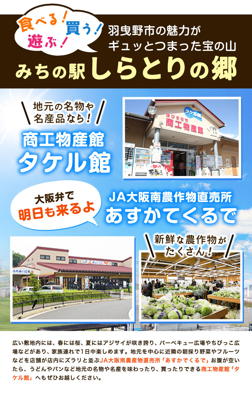 CHOYA 本格梅酒 EXCELLENT エクセレント 750ml × 2本 羽曳野商工振興株式会社《30日以内に出荷予定(土日祝除く)》大阪府 羽曳野市 送料無料 梅酒 梅 酒 CHOYA チョーヤ チョーヤ梅酒 お酒 紀州 南高梅