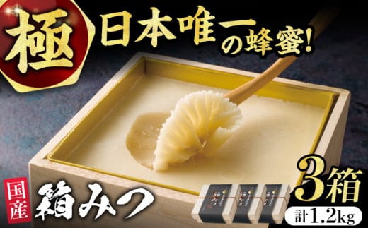 【先行受付 令和7年12月より発送】極箱みつ 3個セット 計1200g (400g×3個) 蜂蜜 はちみつ ハチミツ 高級 濃厚 バター ハニー クリーム 箱蜜 蜂蜜 広川町 / 株式会社九州蜂の子本舗 [AFAI015]