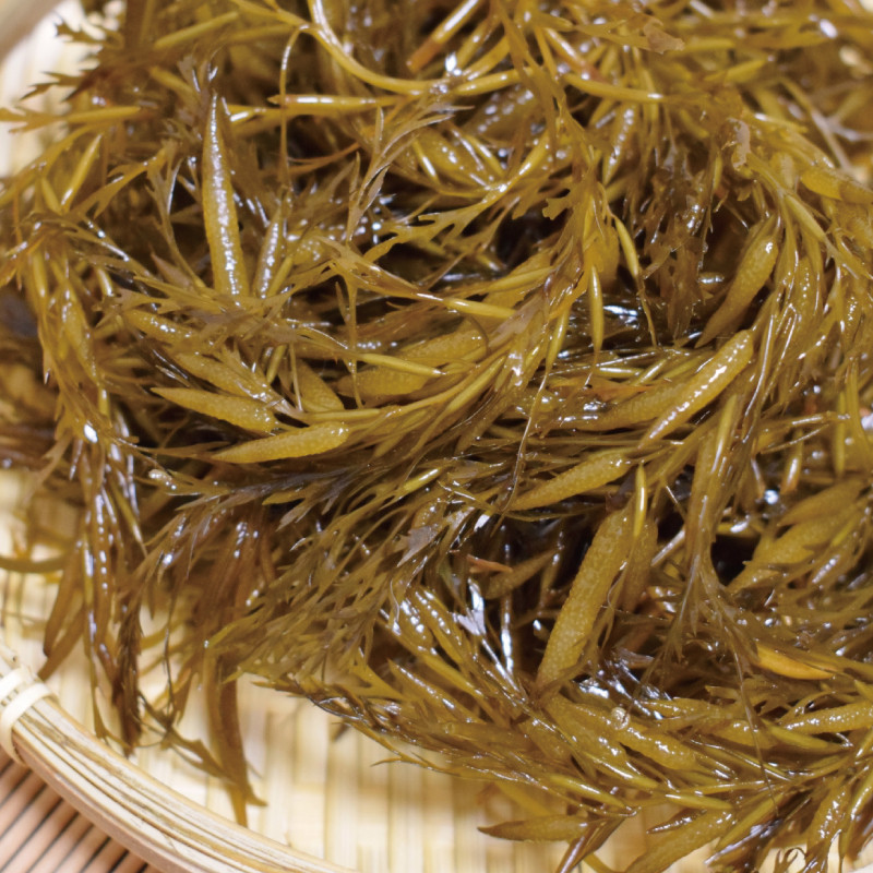［由良町産］紀州あかもく 100g×7パック（2025年産）【sml907B】