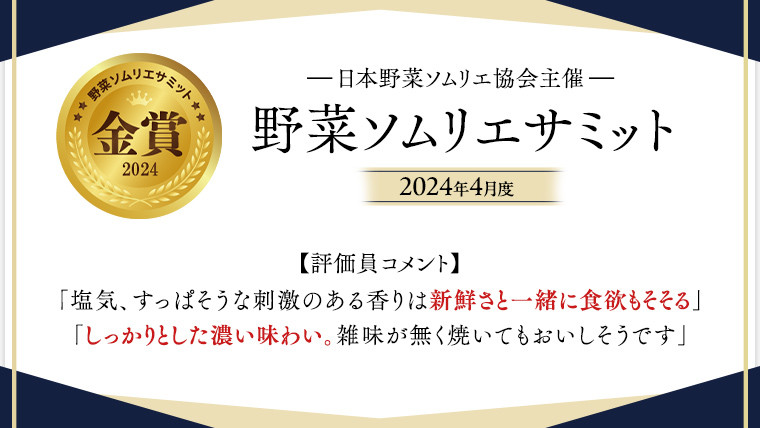 【 2026年2月上旬発送開始 】 スーパーフルーツトマト 小箱 約800g ( 7～13玉 ) 糖度9度以上 ＆ 新鮮 きゅうり 約20本 と PREMIUM ドレたれセット とまと トマト 野菜 サラダ ドレッシング キノエネ醤油 [BC078sa]