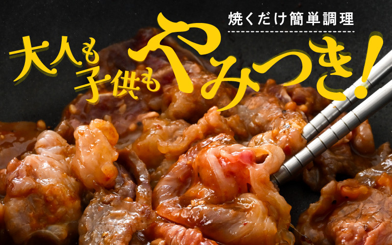 若狭牛スタミナ焼き（味付け）500g（250g×2袋）【若狭牛 すね肉 ばら肉 牛肉 国産和牛 黒毛和牛 ブランド牛 牛 スタミナ 焼き肉 簡単調理 冷凍 小分けパック】 [A-2249]