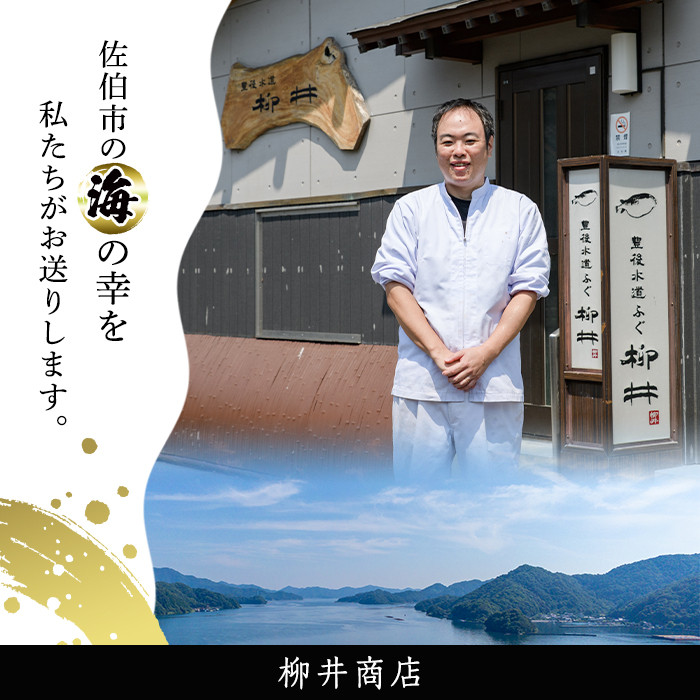 ＜定期便・全12回 (連続)＞とらふぐ刺身 (総量約2kg・2-3人用×12回) とらふぐ ふぐ フグ ふぐ刺し フグ刺し ふぐ刺身 フグ刺身 刺身 鮮魚 冷凍 養殖 国産 大分県 佐伯市【AB201】【柳井商店】