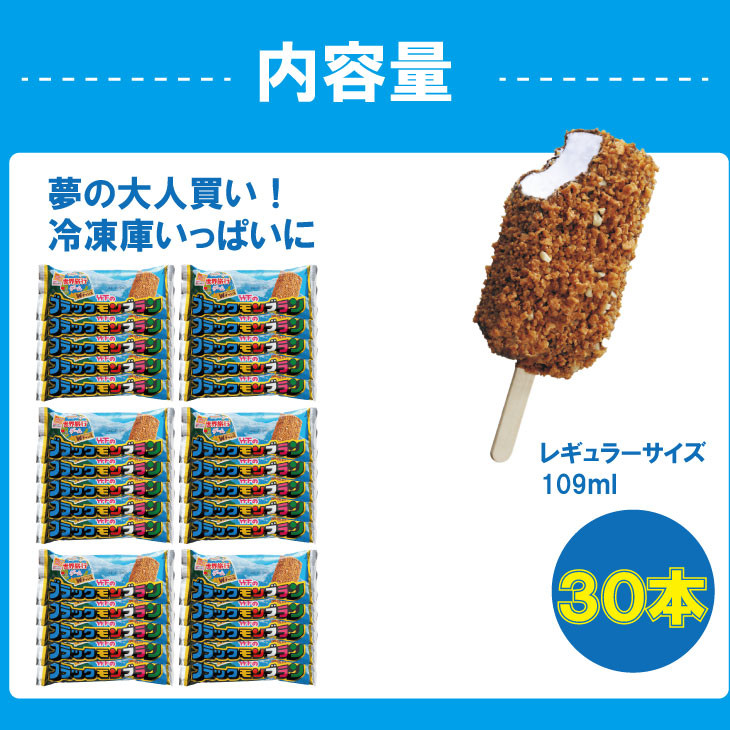 ブラックモンブラン10本セット 【竹下製菓】 アイス クリーム スィーツ チョコレートアイスクリーム アイスバー スイーツ お菓子 バニラ チョコ クランチ 佐賀 九州 限定 小分け 個包装 詰め合わせ アソート 地方 ご当地 お取り寄せ 小分け 個包装 人気 ランキング 高評価 送料無料 佐賀県 小城市