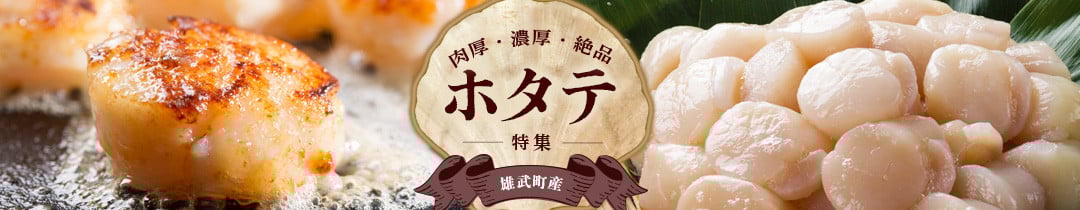 北海道限定 生ほたて 期間限定 北海道雄武産 生玉ほたて 300g×2 塩水パック 冷蔵 | 配送地域限定 生ホタテ 新鮮 ホタテ 帆立 ほたて 大粒 生 生玉 冷蔵 塩水パック 塩水 未冷凍 オホーツク オホーツク産 オンライン 刺身 魚貝 魚介 海鮮 海産 海産物 魚介類 ふるさと納税  雄武町 雄武漁業協同組合 北海道【0715201】