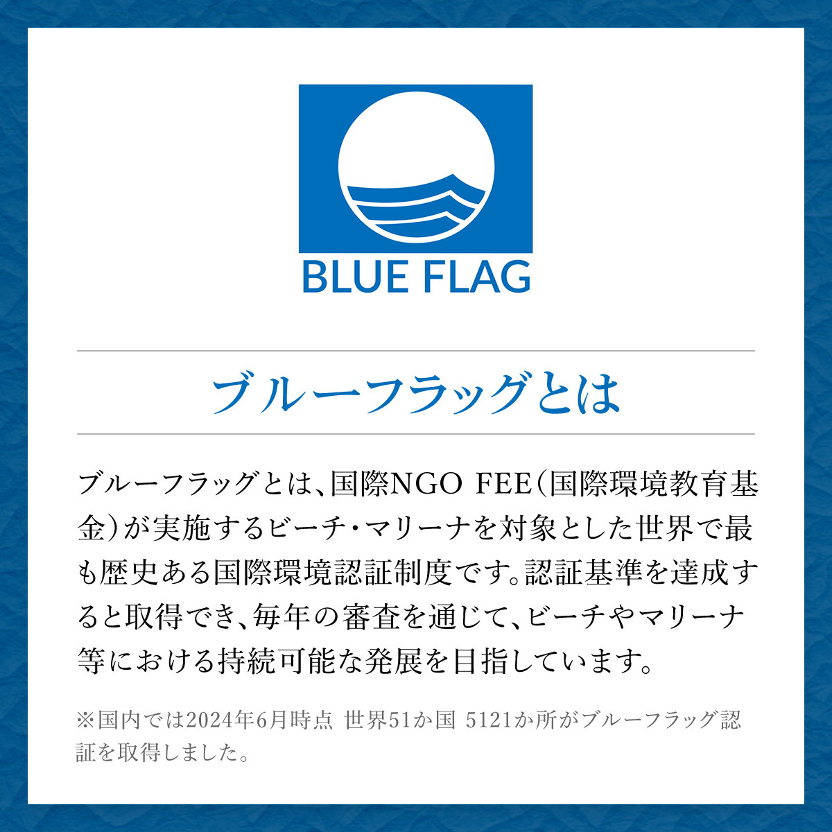 <先行受付/2026年5月より配送>【千葉県ブランド認定】天然活はまぐり(小玉)《1.5㎏》/ふるさと納税 はまぐり ハマグリ 蛤 貝類 魚介 海鮮 お吸い物 パスタ パエリア お歳暮 贈答 お祝い 千葉県 山武市 SMBO001