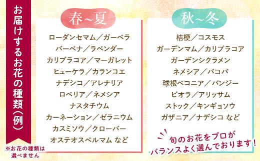 生産農場直送！季節の花苗セット 10～15ポット 花苗 苗 セット 寄せ植え 花壇 ガーデニング F6L-415