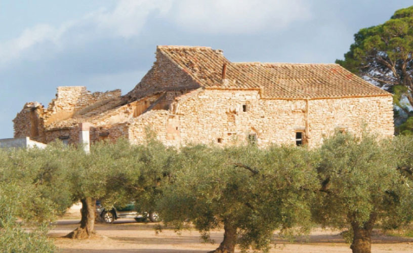 オーガニック 有機 エキストラバージン オリーブオイル 180g ふるさと納税限定品 瀬戸内市[№5735-2022]