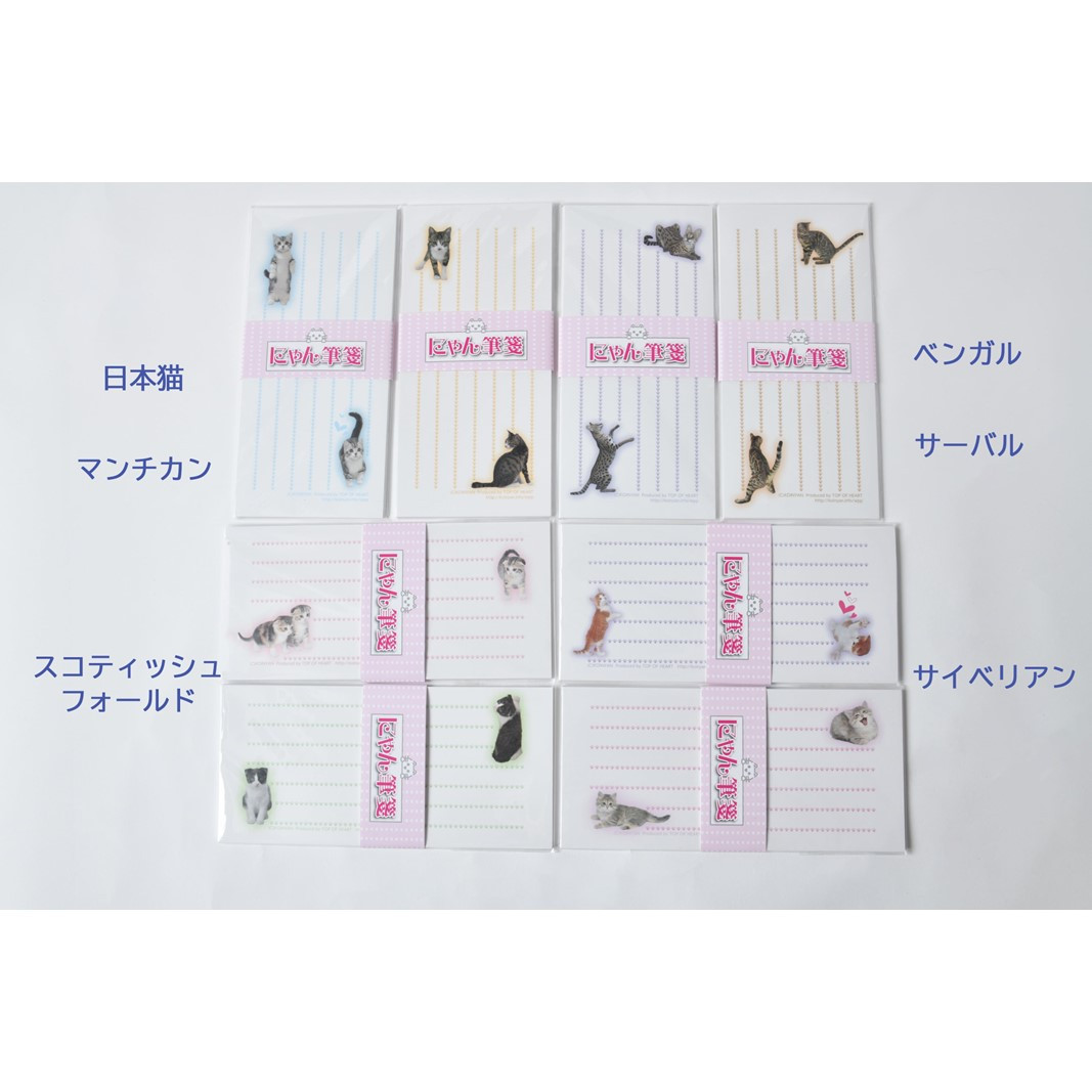 猫写真の一筆箋「にゃん筆箋」猫種いろいろ肉球キャット8種セット 一筆箋 文房具 筆箋 写真 猫 ねこ ネコ 肉球 にゃんこ 動物 アニマル 可愛い かわいい 手紙 メッセージ 横書き セット 縦書き ギフト ラッピング可能 0039-004-S05