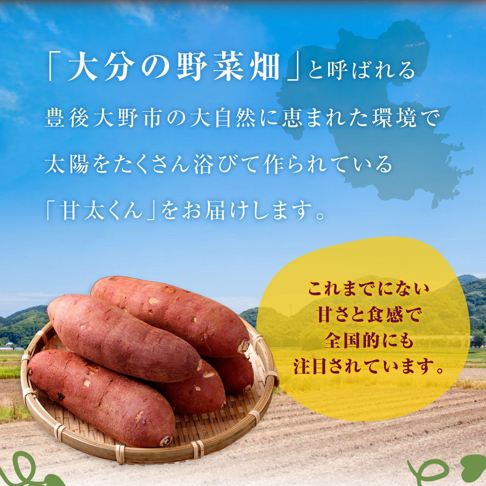 171-1131x1 【先行予約】高糖度さつまいも 甘太くん 約1.8kg(Lサイズ7本) 小箱 サツマイモ 甘藷 かんしょ おやつ 焼き芋 【2025年11月下旬から2026年4月下旬発送予定】