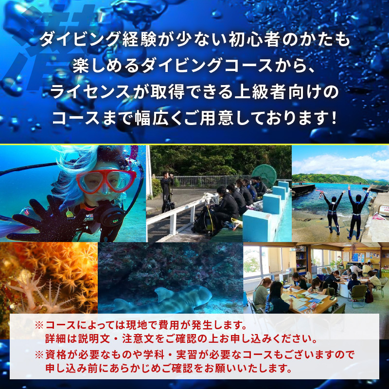 ＜ドラゴンレディ＞ファンダイビング [ダイビング 初心者 2ボードダイビング ライセンス保持者 体験 アウトドア スポーツ 海 アクティビティ マリンスポーツ レジャー 静岡 伊豆 下田 ドラゴンレディ]
