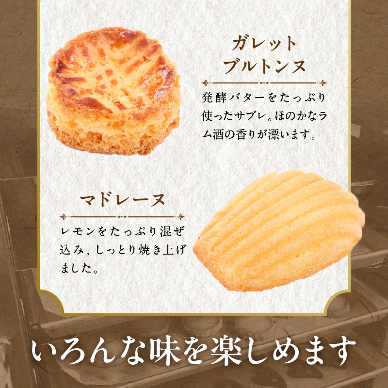 焼き菓子アソートメントスクエアサイズ(10個入り)　詰め合わせ フィナンシェ チョコフィナンシェ マドレーヌ ディアマン チョコサブレ 緑茶サブレ コーヒーサブレ ガレットブルトンヌ フロランタン ヴィエノワ 焼き菓子 スイーツ 洋菓子 デザート 奈良県 生駒市 送料無料