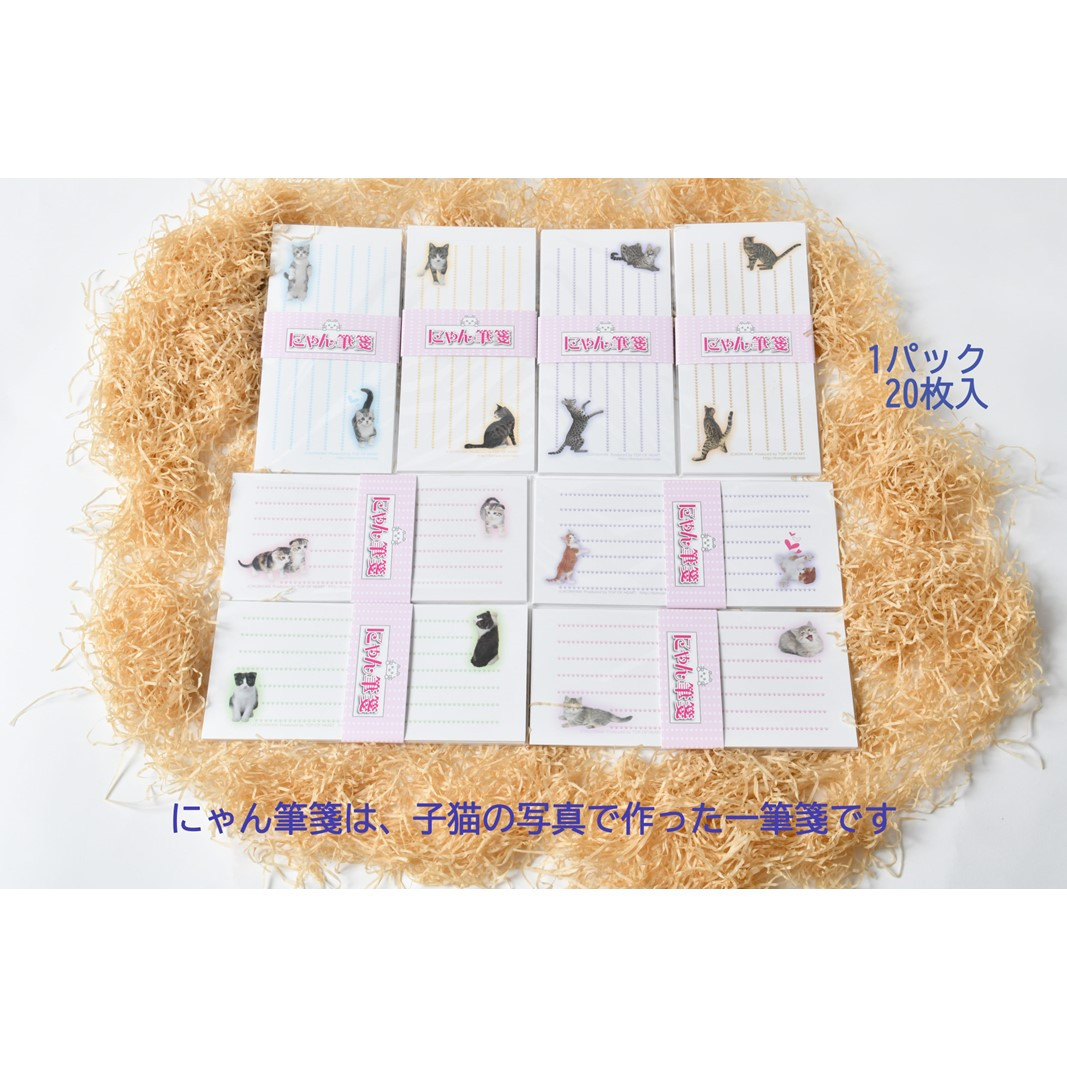 猫写真の一筆箋「にゃん筆箋」猫種いろいろ肉球キャット8種セット 一筆箋 文房具 筆箋 写真 猫 ねこ ネコ 肉球 にゃんこ 動物 アニマル 可愛い かわいい 手紙 メッセージ 横書き セット 縦書き ギフト ラッピング可能 0039-004-S05
