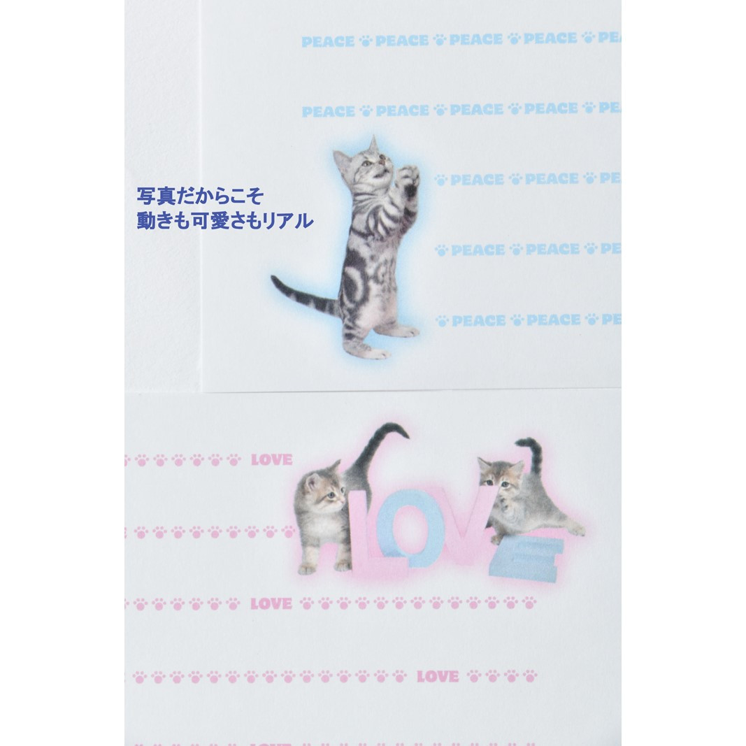 猫写真の一筆箋「にゃん筆箋」隔月ごとに新作2種類が3回届くセット 定期便 3回 隔月 一筆箋 文房具 写真 猫 ねこ ネコ 筆箋 にゃんこ アニマル 可愛い かわいい 手紙 メッセージ 横書き セット 縦書き ギフト ラッピング可能 0039-005-S05