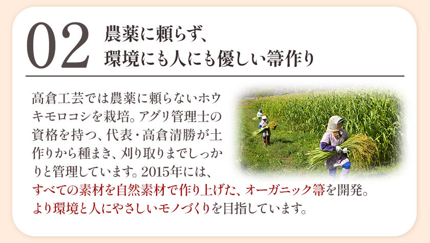 伝統工芸 南部箒 縮れ★★ 小箒 南部 ほうき 高倉工芸 室内 ホウキ おしゃれ 玄関 掃除 掃除道具 お掃除グッズ 《30日以内に出荷予定(土日祝除く)》