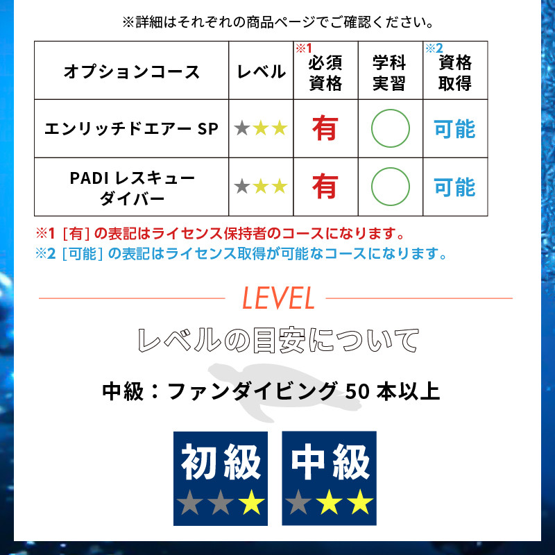 ＜ドラゴンレディ＞ファンダイビング [ダイビング 初心者 2ボードダイビング ライセンス保持者 体験 アウトドア スポーツ 海 アクティビティ マリンスポーツ レジャー 静岡 伊豆 下田 ドラゴンレディ]