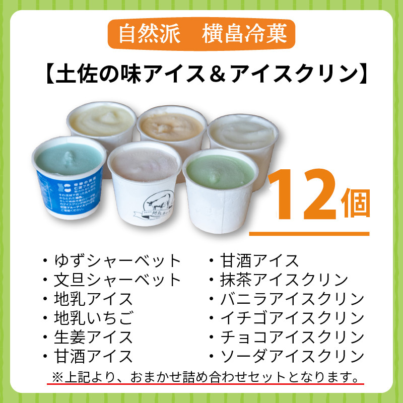 高知 名物 アイスクリン ふるさとの味アイス 12個セット ( ゆず 文旦 甘酒 ミルク いちごミルク 生姜 バニラ 抹茶 いちご チョコ ソーダ 人気 カップ スイーツ バラエティ おやつ 詰め合わせ デザート 詰合せ ) ME0391