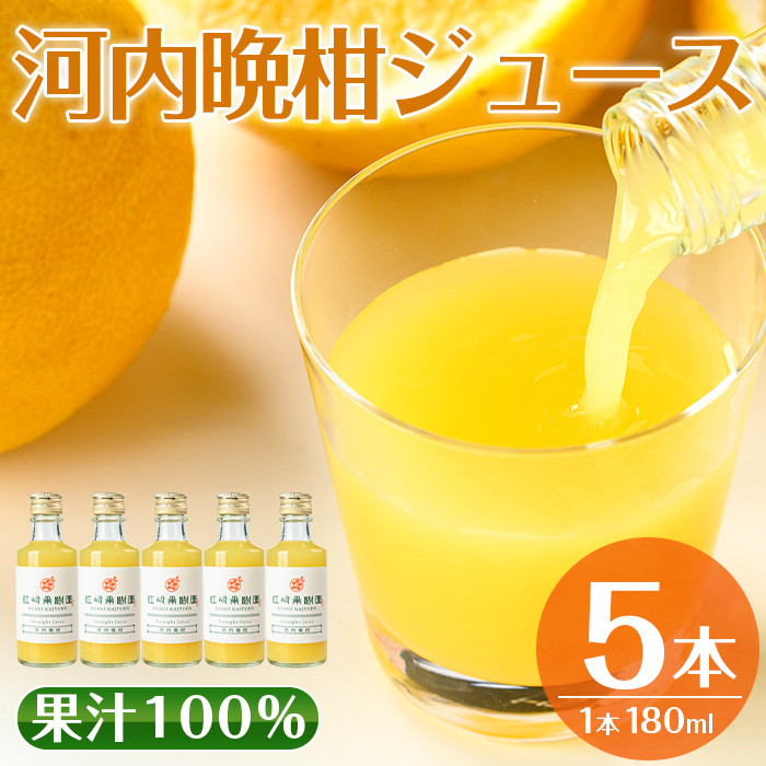 i990-A 河内晩柑ジュース(180ml×5本) 飲料 ジュース みかん 蜜柑 果汁 100% 河内晩柑 無着色 無香料 ストレートジュース 安心安全 ギフト 贈り物 贈答【江崎果樹園】