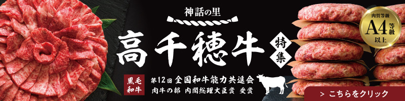 宮崎県産黒毛和牛A4等級以上 高千穂牛バラ肉 500g| 牛肉 肉 お肉 精肉 牛バラ A4 ブランド牛 国産牛 黒毛和牛 国産 国産牛肉 焼肉 炒めもの 料理 冷凍 アウトドア キャンプ グランピング BBQ 一人焼肉 |_Tk002-068