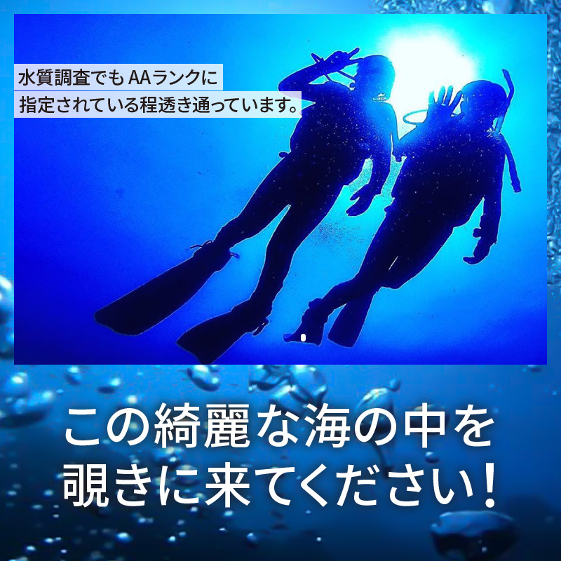 ダイビング エンリッチドエアー ボードダイビング SPコース 中級 PADI オープンウォーターダイバー アウトドア スポーツ アクティビティ マリンスポーツ レジャー ドラゴンレディ 旅行 観光 静岡県 下田市 伊豆