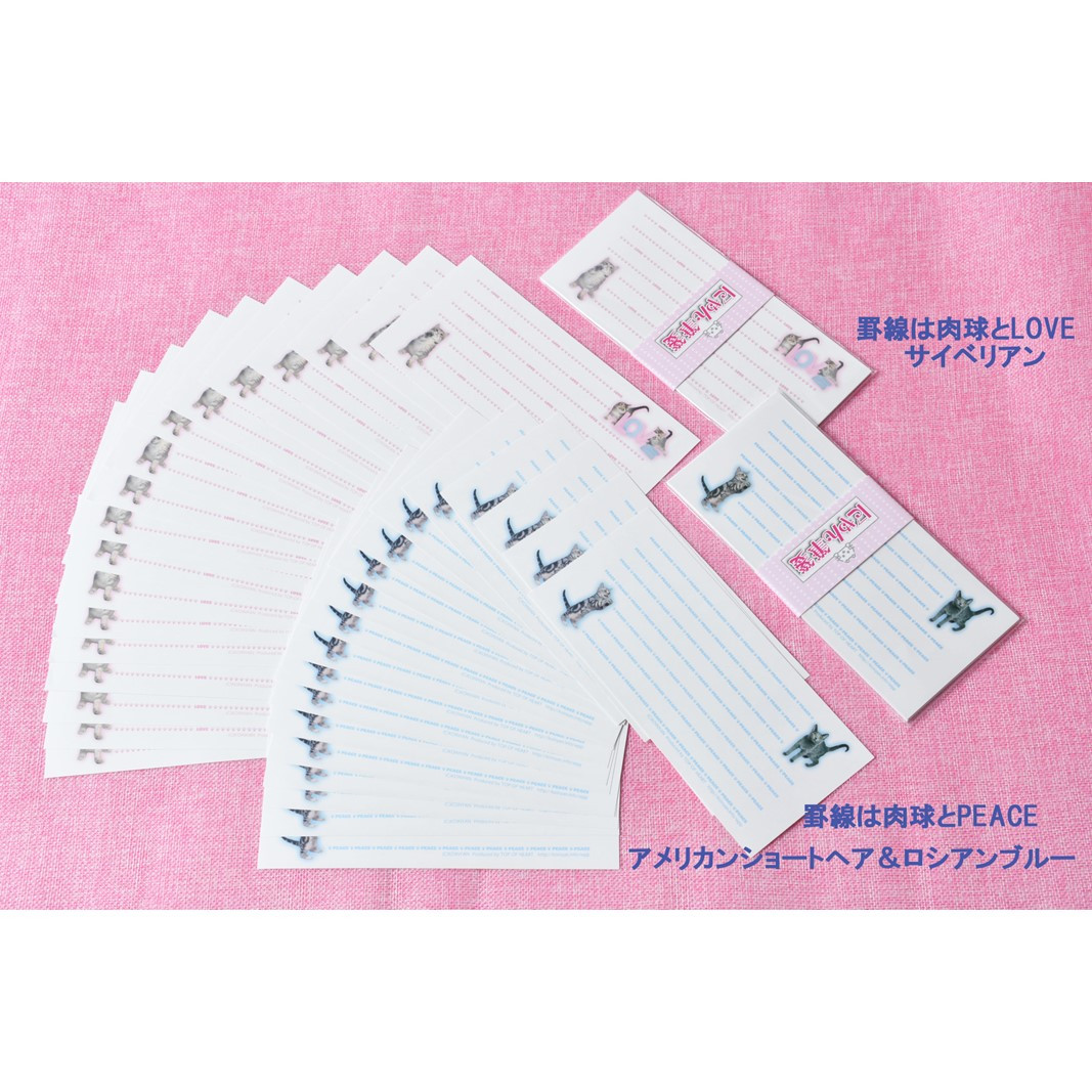 猫写真の一筆箋「にゃん筆箋」隔月ごとに新作2種類が3回届くセット 定期便 3回 隔月 一筆箋 文房具 写真 猫 ねこ ネコ 筆箋 にゃんこ アニマル 可愛い かわいい 手紙 メッセージ 横書き セット 縦書き ギフト ラッピング可能 0039-005-S05