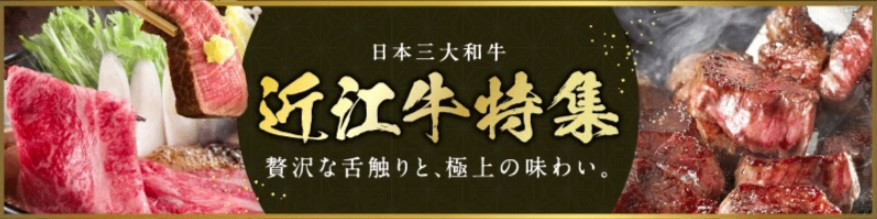 近江牛霜降りロース肉ステーキ　150g×2枚 日本三大 国産黒毛和牛 産地直送 ブランド牛 和牛 AJ-0024