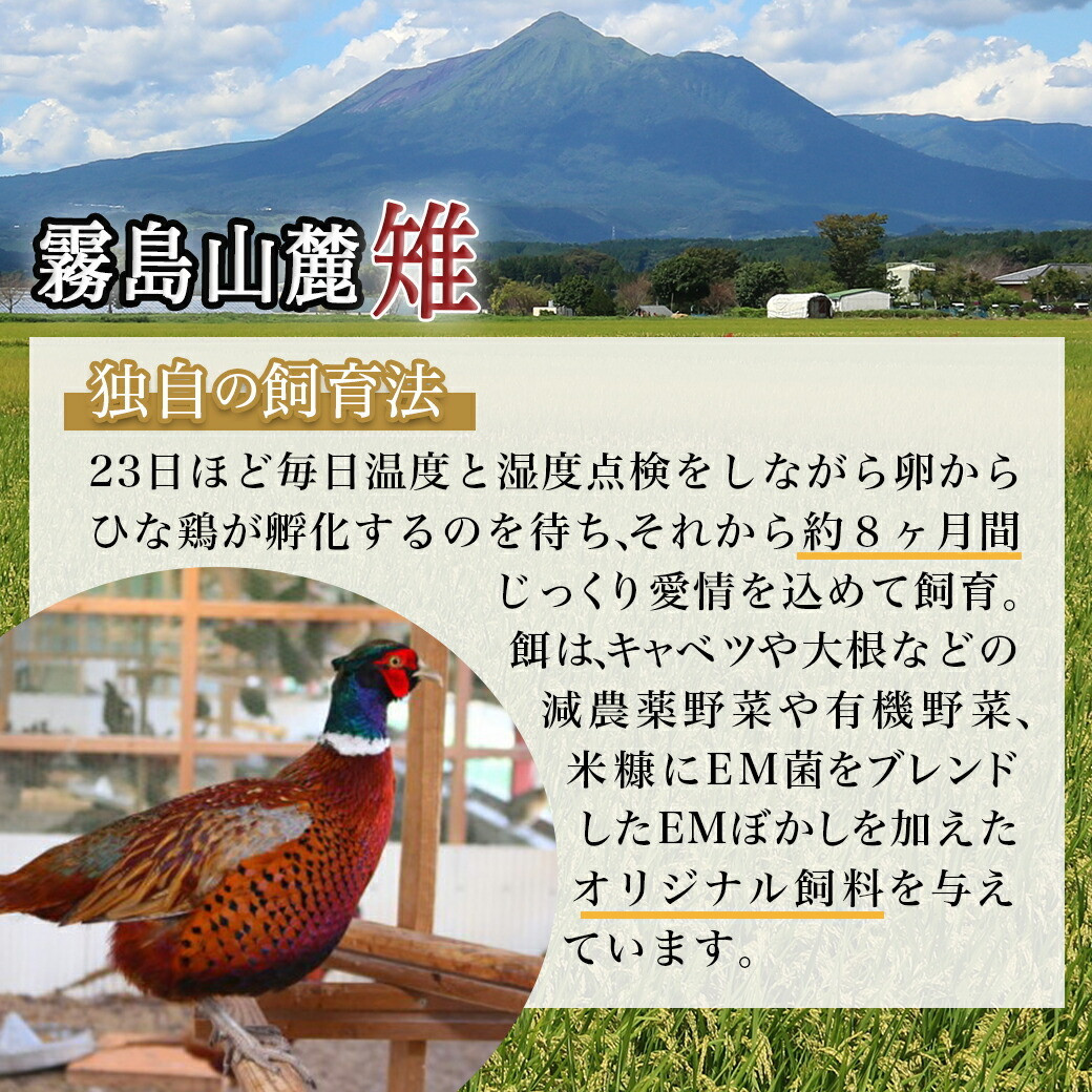【父の日】【たしろ屋】都城産キジ たたき&キジ肉生(焼肉用)セット≪6月18日~21日お届け≫ _MJ-9911-FG_(都城市) キジ肉 タタキ キジ肉生 焼肉用 タレ付 キジ 雉 高級食材 希少な鶏肉 父の日 ギフト
