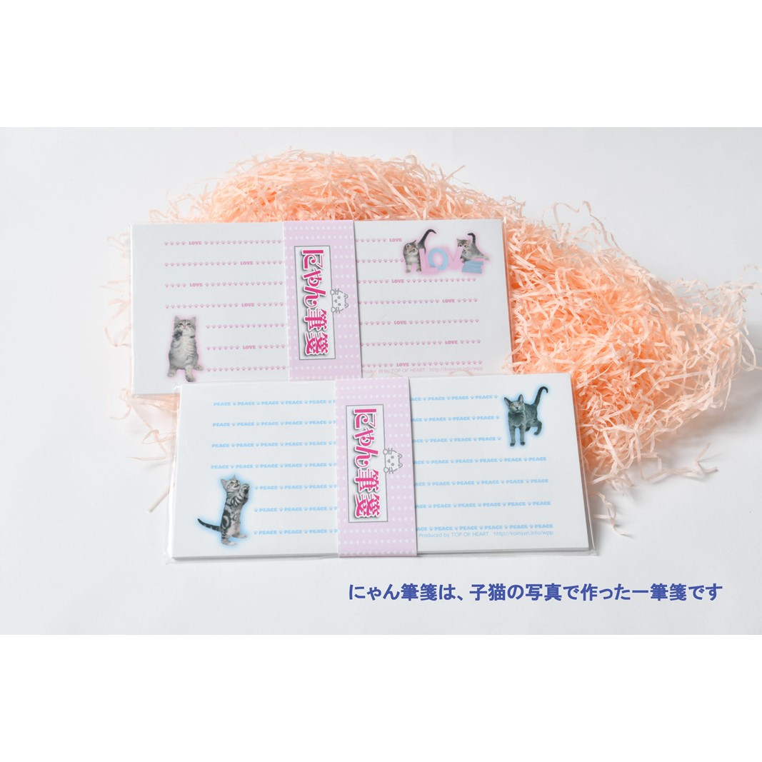 猫写真の一筆箋「にゃん筆箋」隔月ごとに新作2種類が3回届くセット 定期便 3回 隔月 一筆箋 文房具 写真 猫 ねこ ネコ 筆箋 にゃんこ アニマル 可愛い かわいい 手紙 メッセージ 横書き セット 縦書き ギフト ラッピング可能 0039-005-S05