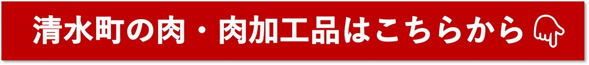 アイスホッケーの町清水 世界基準の育成環境 3日間合宿プラン_S007-0001