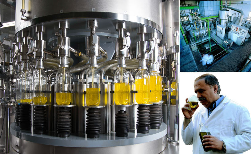 エキストラバージン オリーブオイル 大容量 5L ×2本  瀬戸内市 [№5735-2024]