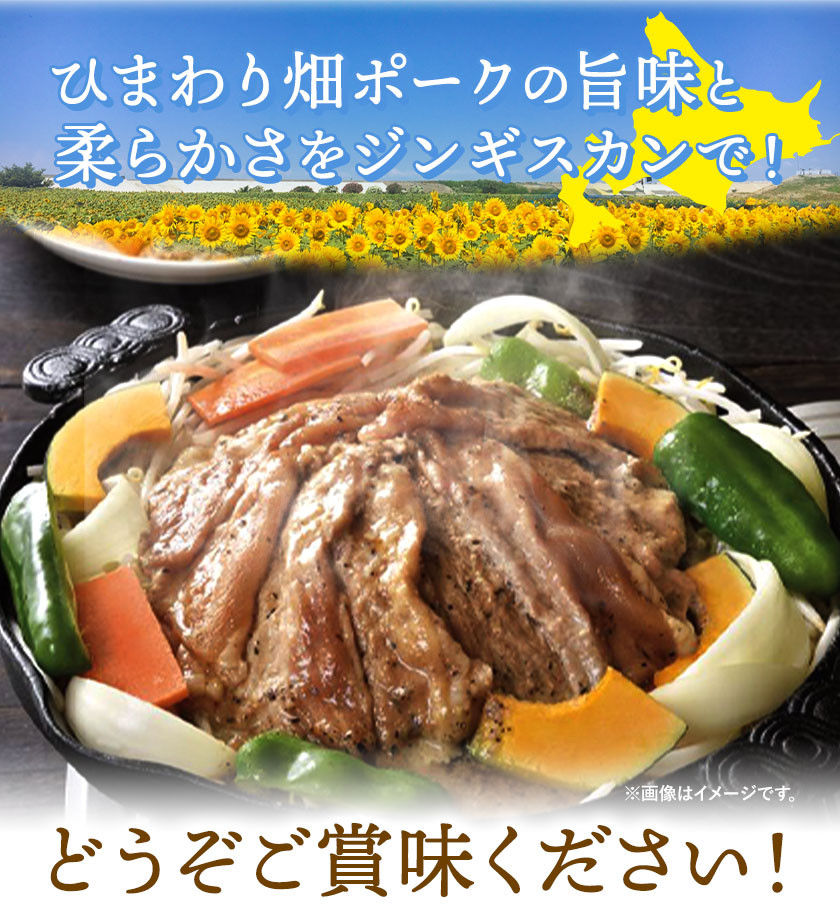 ジンギスカン ひまわり畑 ポーク ジンギスカン 500g入り 3パックセット いろは肉店《30日以内に出荷予定(土日祝除く)》北海道 名寄市 送料無料 肉 豚肉 味付け