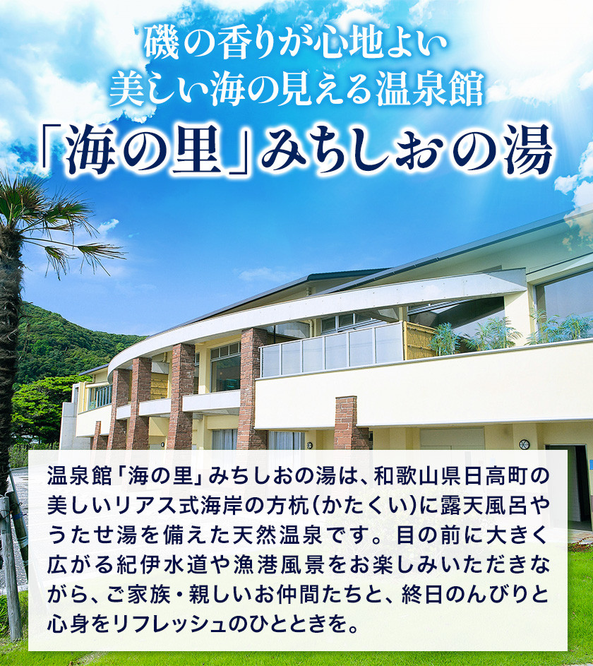 【温泉館「海の里」みちしおの湯】利用券 25枚組 日高町役場《30日以内に出荷予定(土日祝除く)》和歌山県 日高町 温泉 チケット 天然温泉 家族温泉 露天風呂