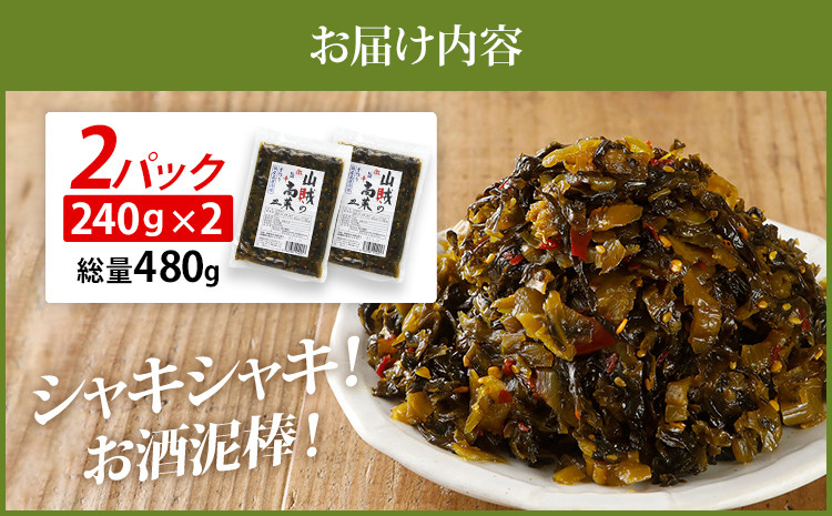辛子高菜 240g×2パック（480g） 山賊の高菜 からし高菜 メール便 ポッキリ お米に合う ご飯のお供 おつまみ 国産 無添加 お取り寄せ 福岡 お土産 九州 グルメ 福岡県  漬物 漬け物 常温 常温保存 博多 高菜漬け 唐辛子 ラーメン チャーハン パスタ 食品 おにぎり 炒飯 つけもの おかず 野菜 加工品 お茶漬け ギフト 贈呈 ピリ辛 お弁当 食卓
