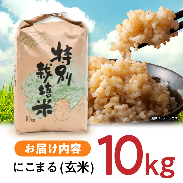 【R7年産】九州のこだわり「にこまる」 玄米 10kg / 米 こめ お米 おこめ げんまい にこまる 長崎県産 / 諫早市 / 上島農産 [AHAS002]