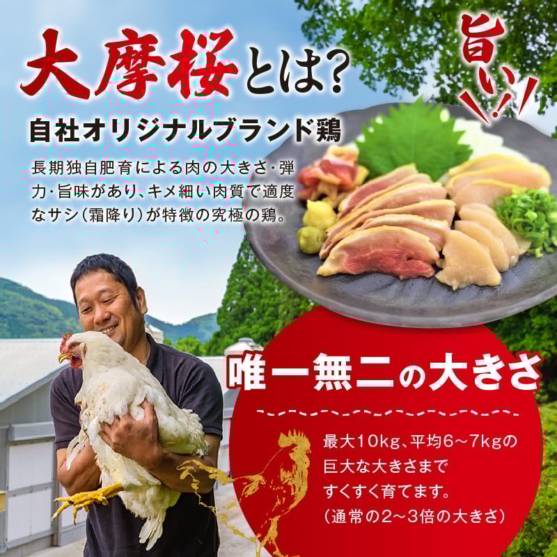 【全6回】さつま極鶏大摩桜 炭火焼き3種と炭焼き塩たたき定期便 085-12