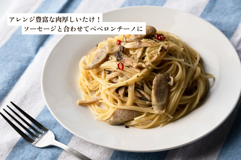 【2025年先行予約】生しいたけ 大サイズ 約500g（9～13個）《10月中旬から順次出荷》 品評会で金賞受賞！ きのこ しいたけ 椎茸 食べ応えあるビッグサイズ 肉厚で旨味たっぷり！ 加茂市 青木農園