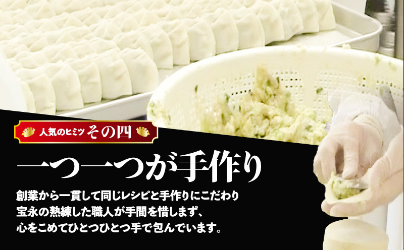 ぎょうざの宝永 チーズ餃子セット（宝永餃子 15個入×2袋＆チーズ餃子 15個入×2袋）合計1.5kg　T004-002