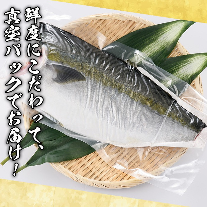 鮮度抜群!自社加工ブリ(片身分・1~1.5kg) ブリ 鰤 魚貝 魚介 海産物 刺身 焼き魚 煮つけ 真空パック【さるがく水産】akn028-24